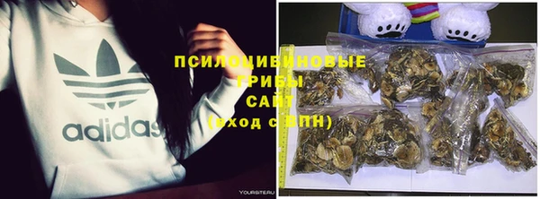 герыч Алексин