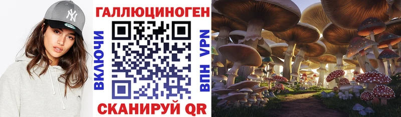 Галлюциногенные грибы ЛСД Нижний Тагил